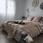 Mi Alma Apartamento